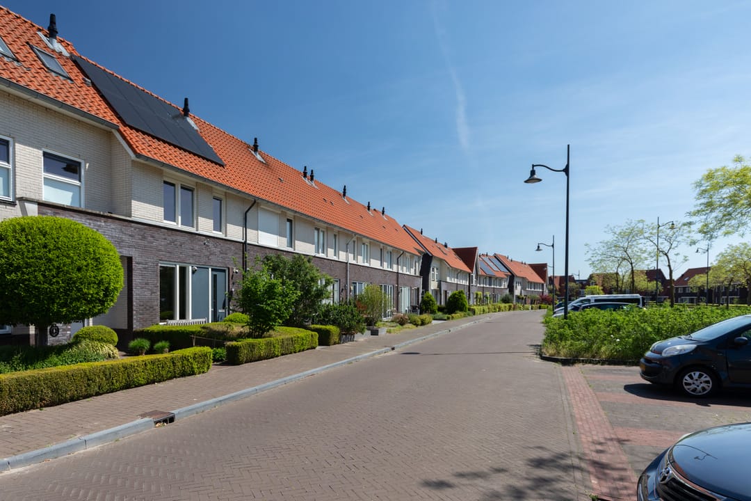 Foto 38 van Rotsvlinder 34