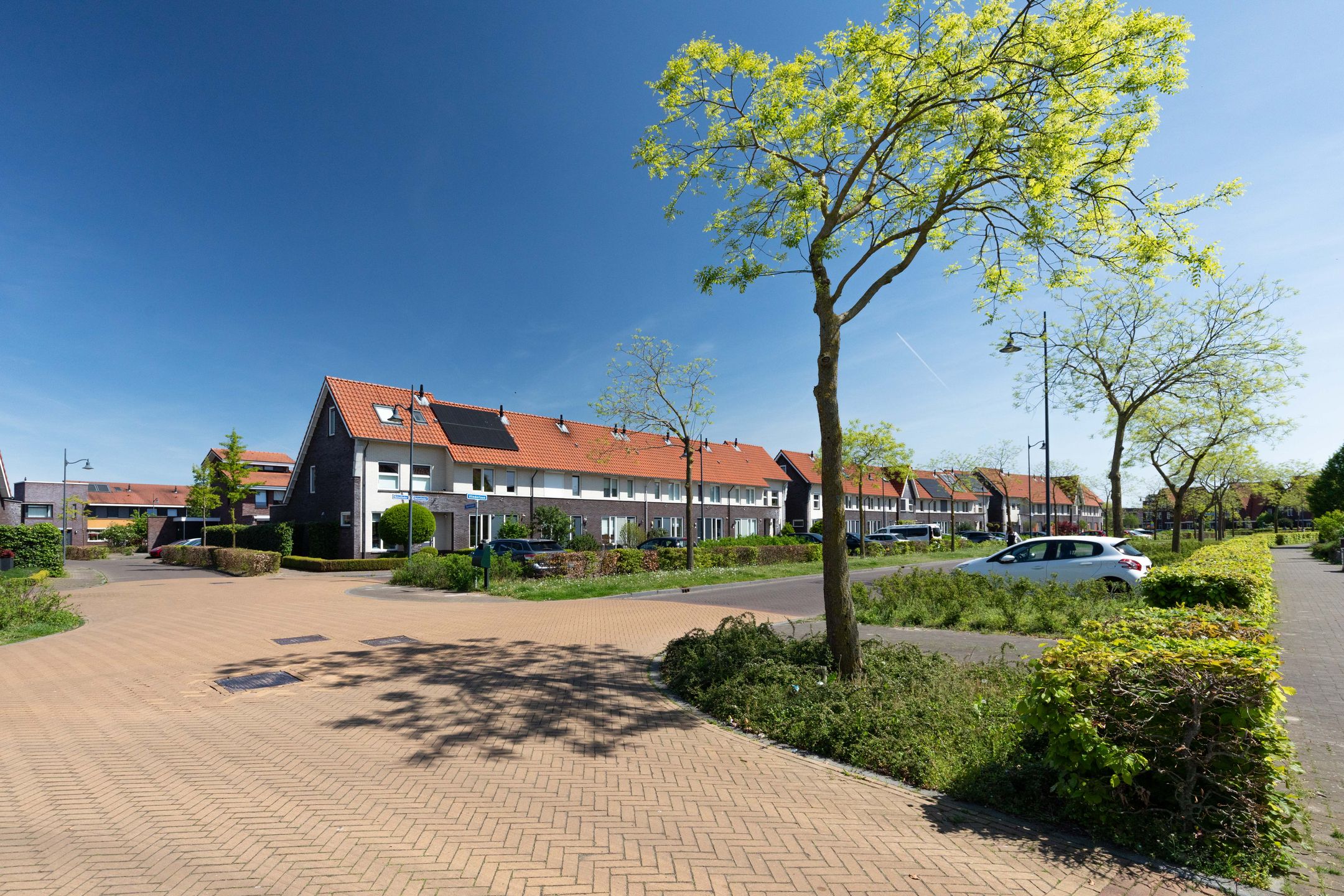 Foto 39 van Rotsvlinder 34