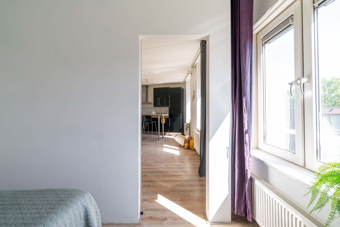 Foto 29 van Piet Mondriaanplein 251