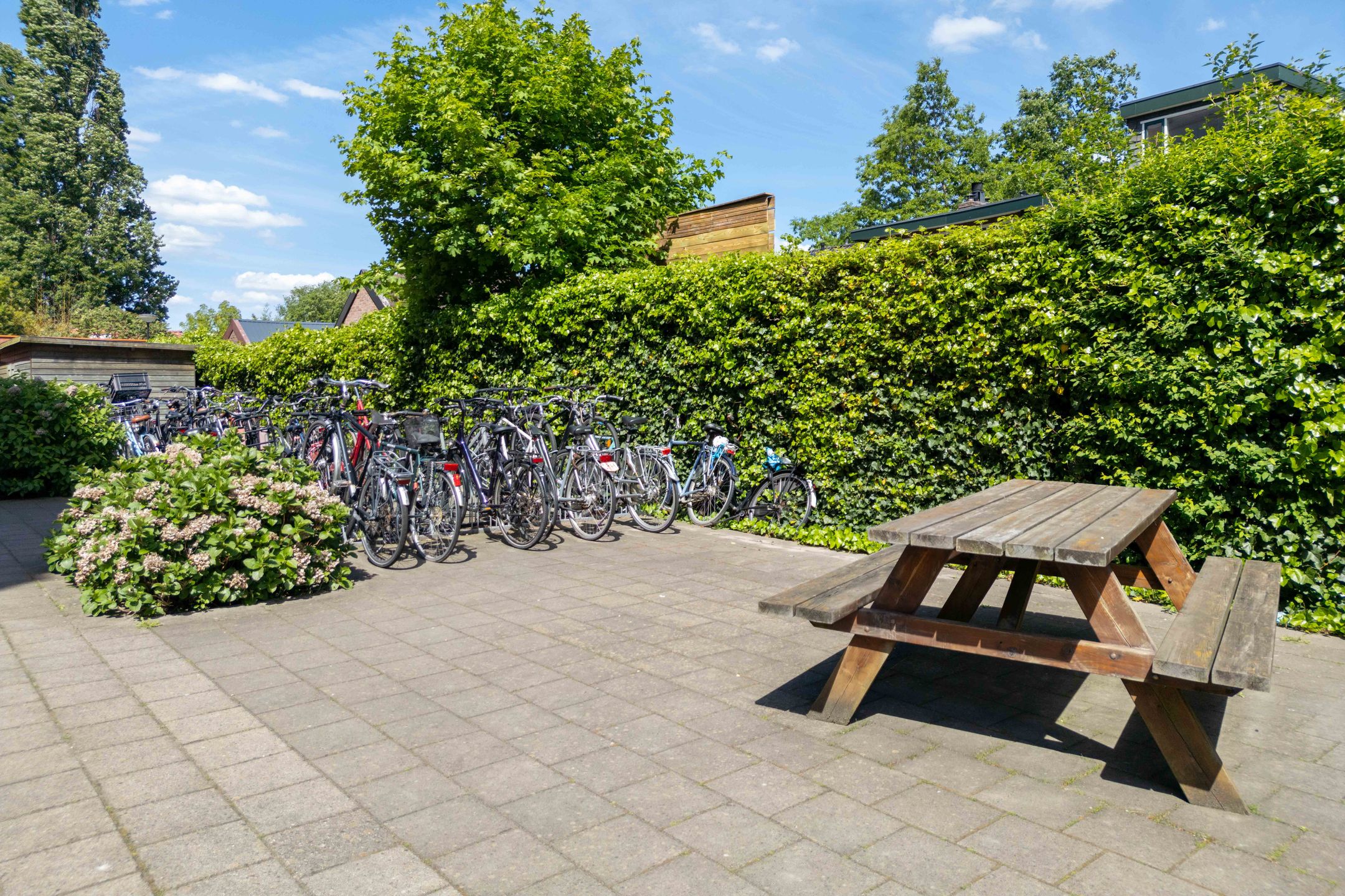 Foto 33 van Piet Mondriaanplein 251