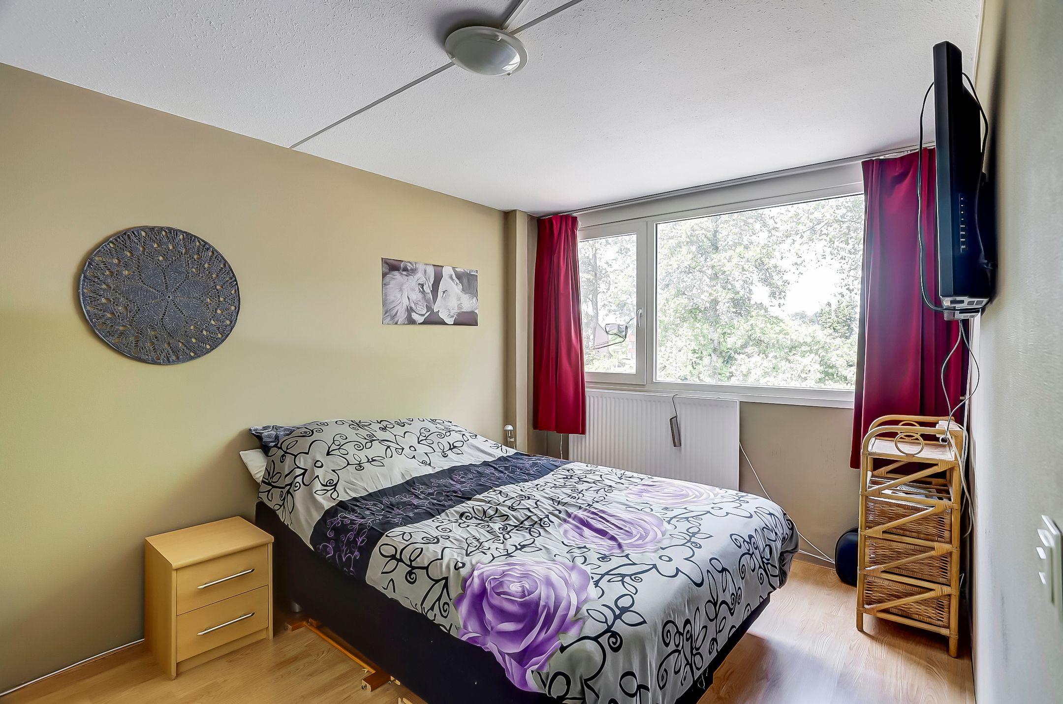 Foto 18 van Zuiderkruis 4