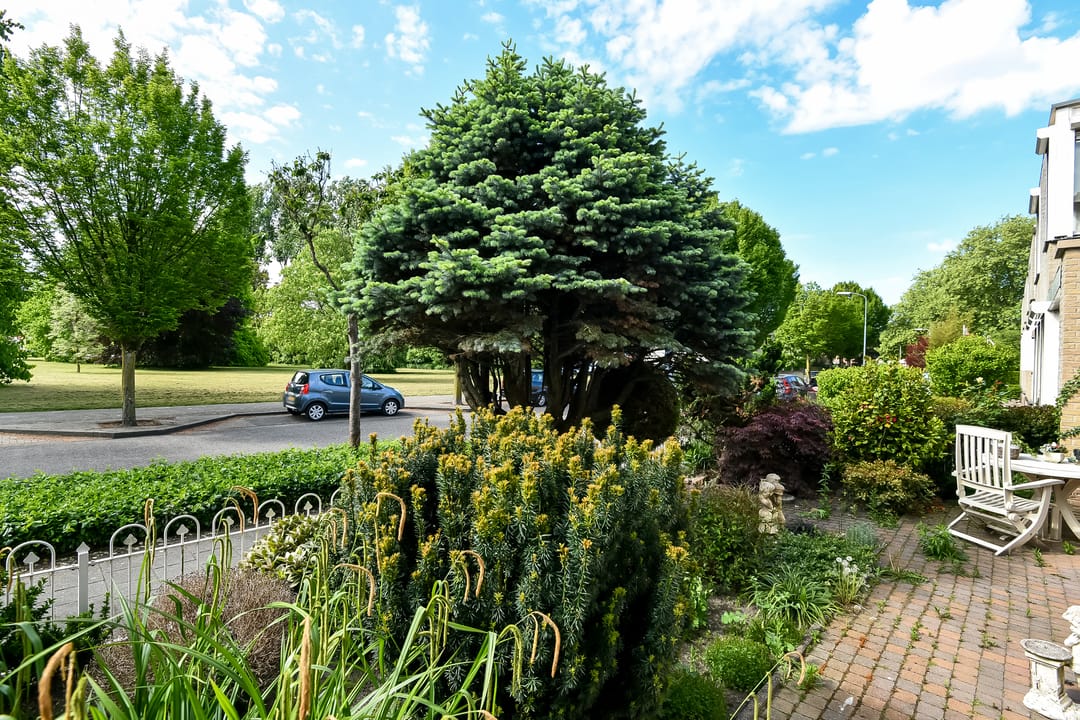 Photo 8 of Zadelmakersstraat 23