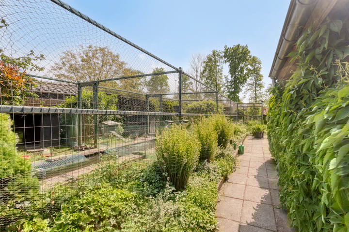 Foto 46 van Kluisstraat 37