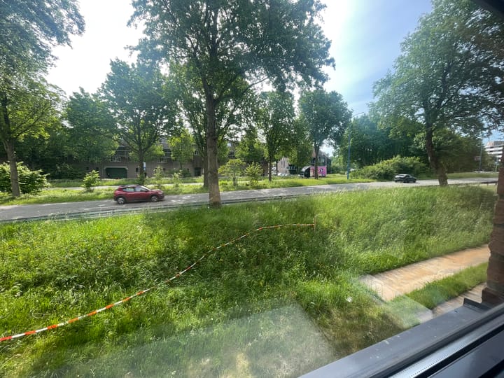 Foto 9 van Saloméschouw 76