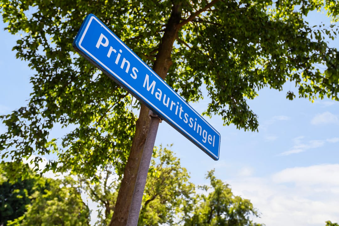 Foto 47 van Prins Mauritssingel 7-A