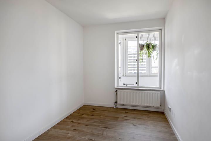 Foto 31 van Bierstraat 243