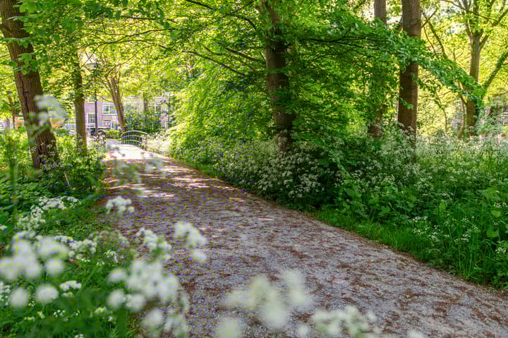 Foto 6 van Thérèse Schwartzestraat 32