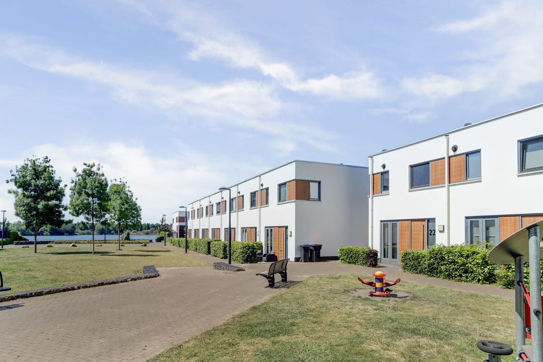 Foto 2 van Kamsalamander 22