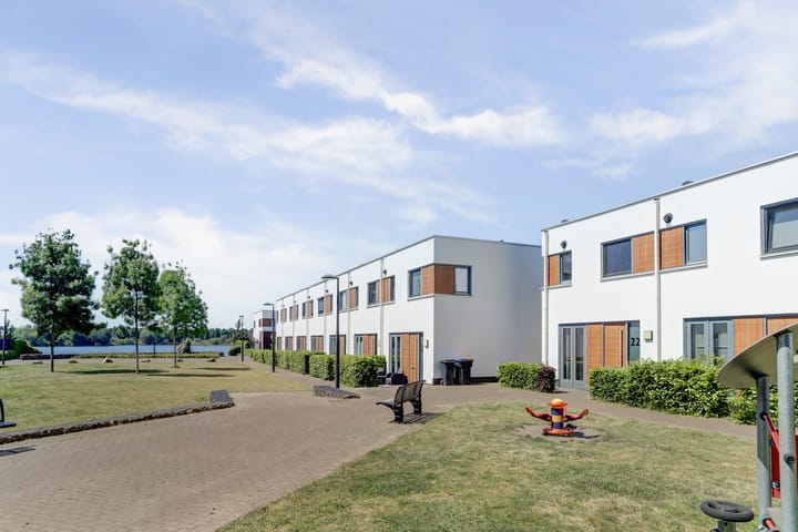 Foto 2 van Kamsalamander 22