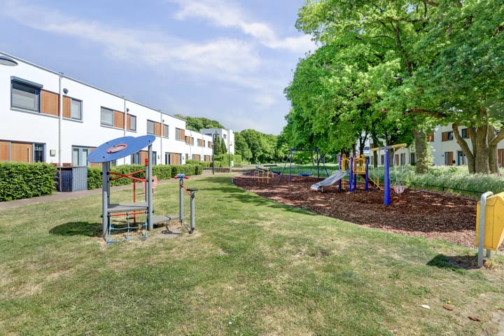 Foto 3 van Kamsalamander 22