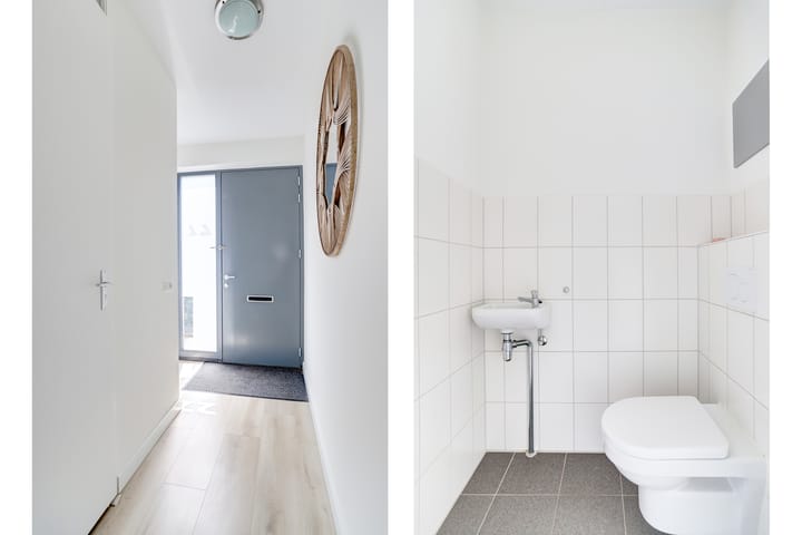 Foto 4 van Kamsalamander 22