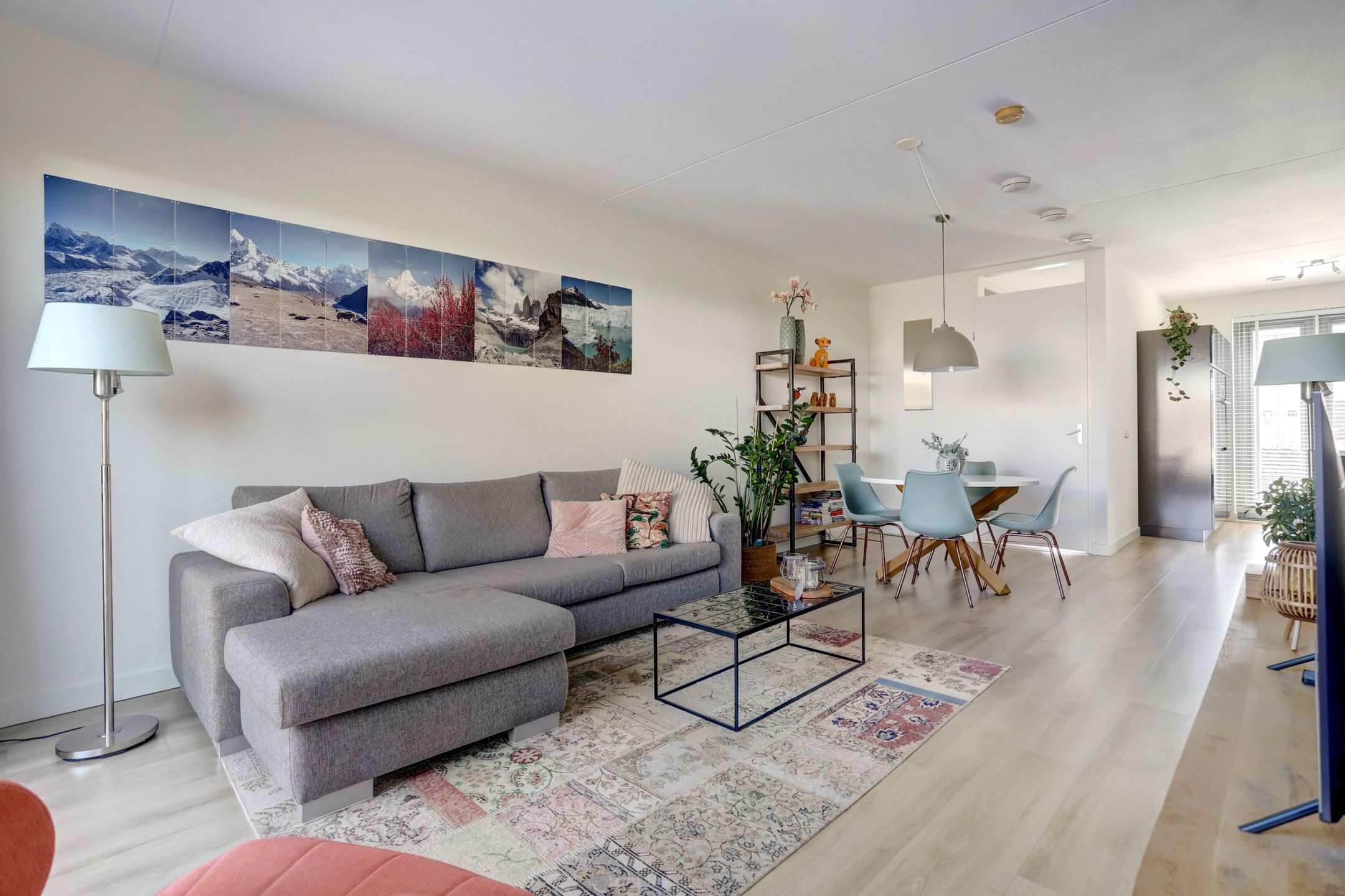 Foto 6 van Kamsalamander 22