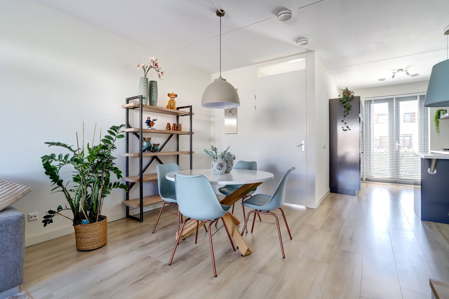 Foto 10 van Kamsalamander 22