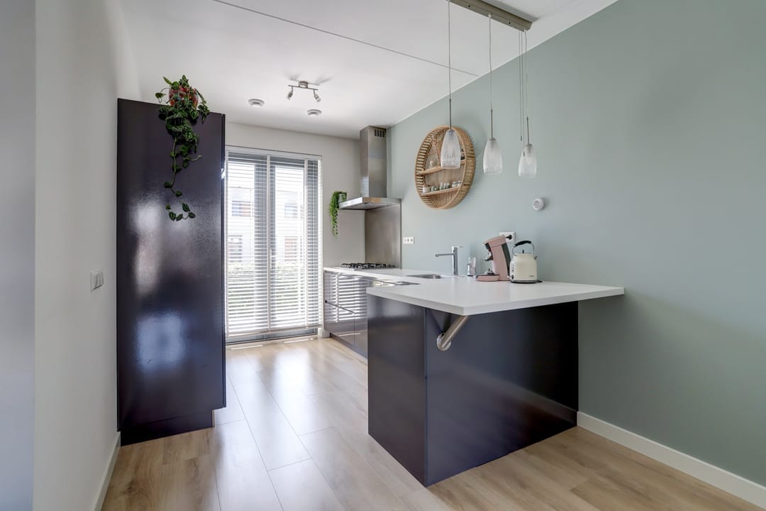 Foto 11 van Kamsalamander 22