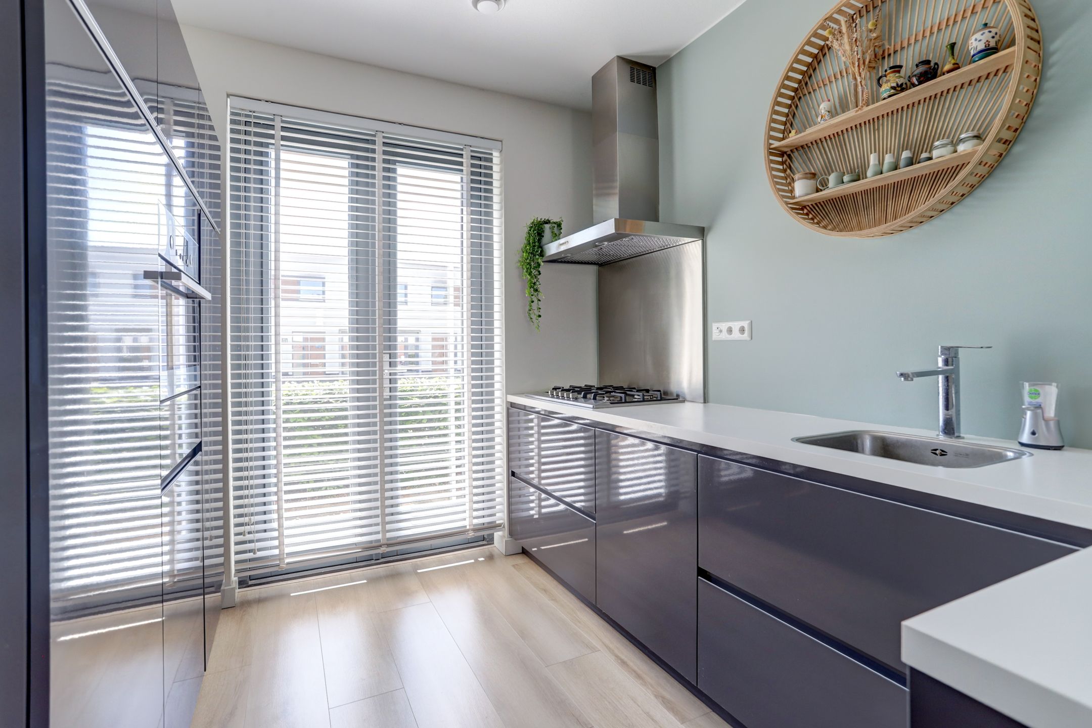 Foto 12 van Kamsalamander 22