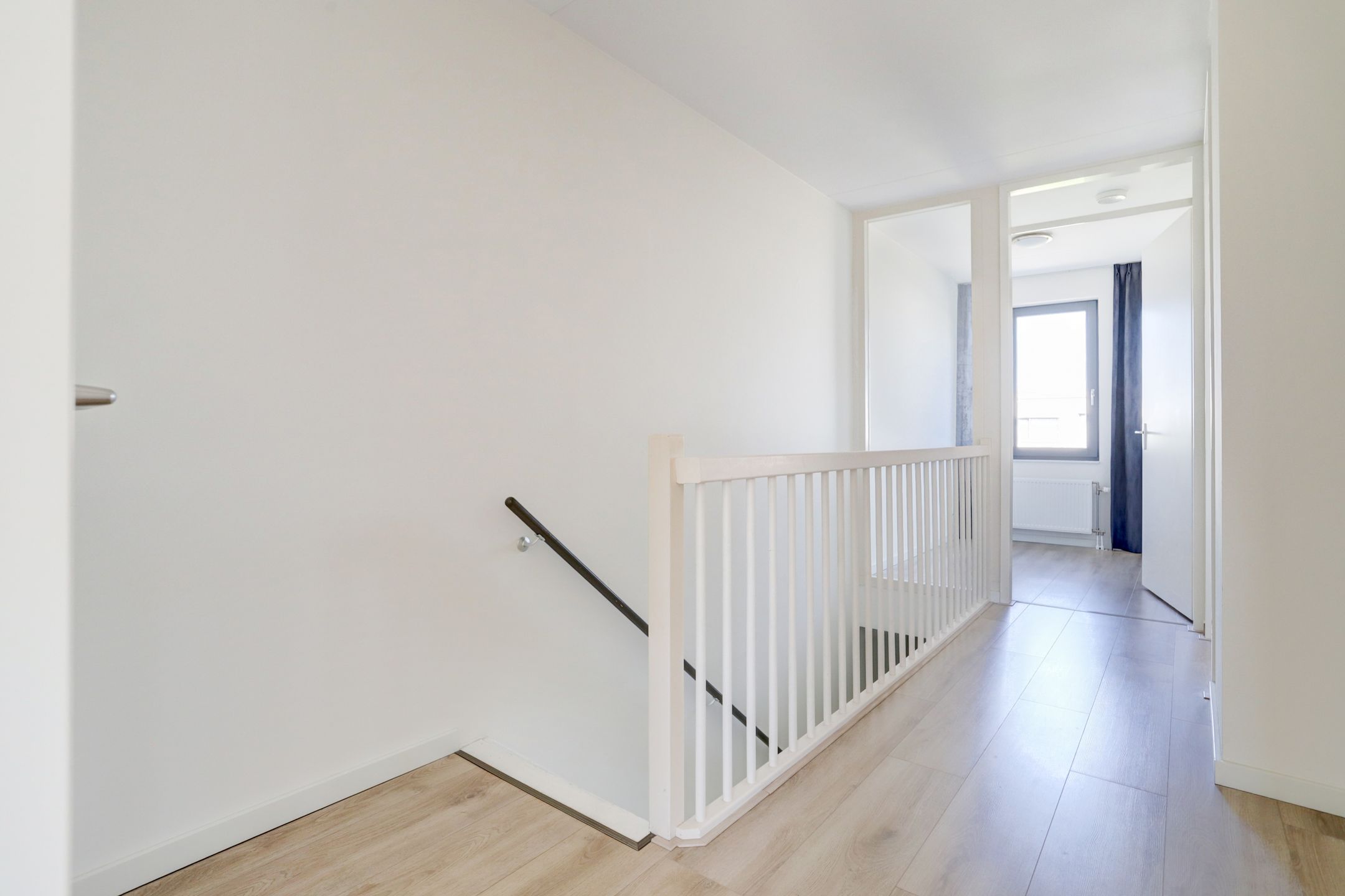 Foto 15 van Kamsalamander 22