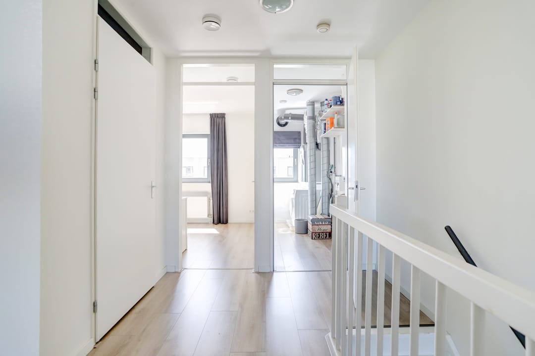 Foto 16 van Kamsalamander 22