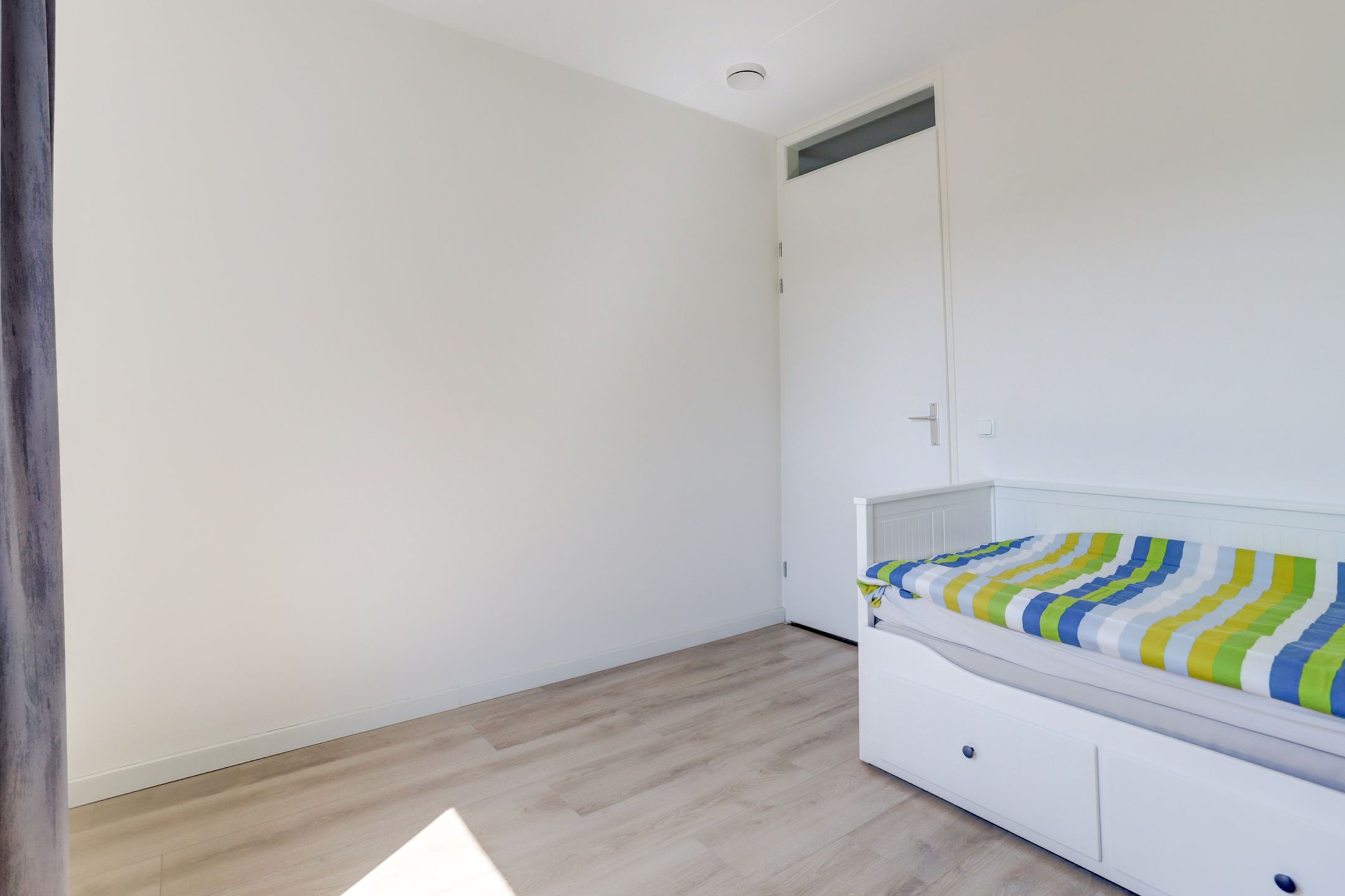 Foto 18 van Kamsalamander 22