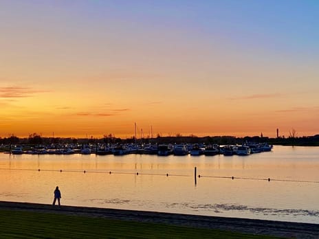 in 't Broek 5-143 tertiary image