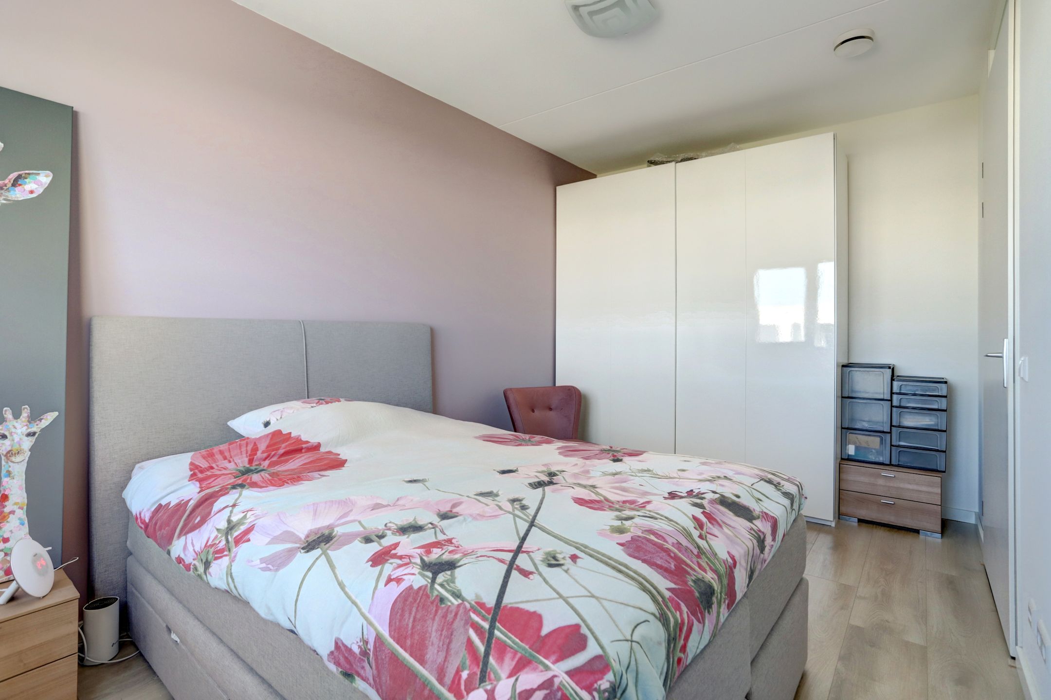 Foto 21 van Kamsalamander 22