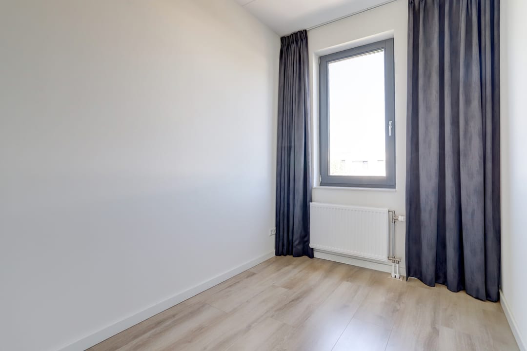 Foto 22 van Kamsalamander 22