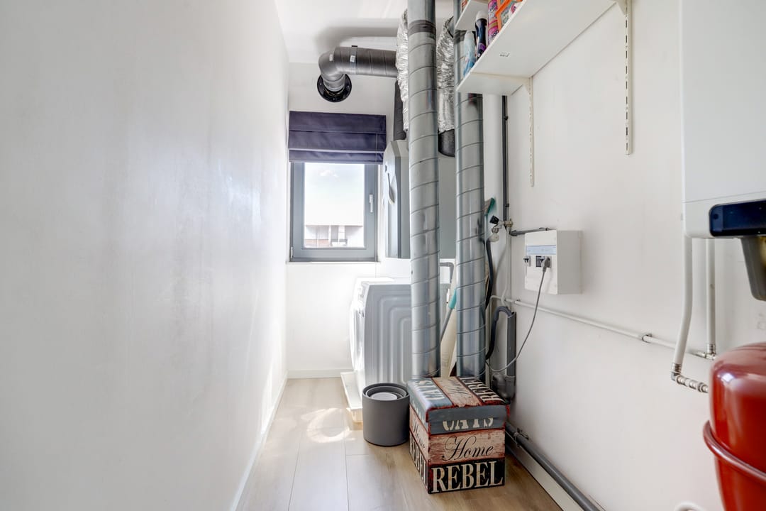 Foto 23 van Kamsalamander 22