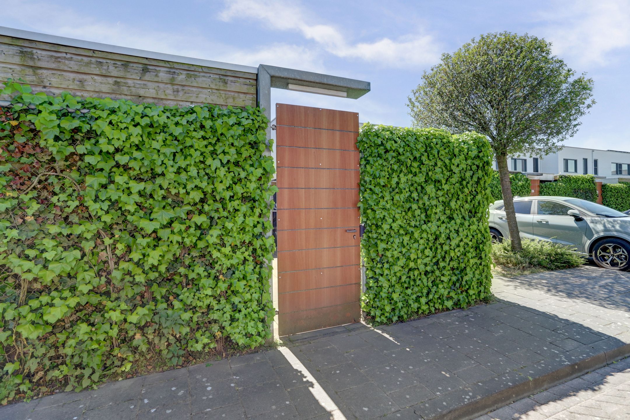 Foto 30 van Kamsalamander 22