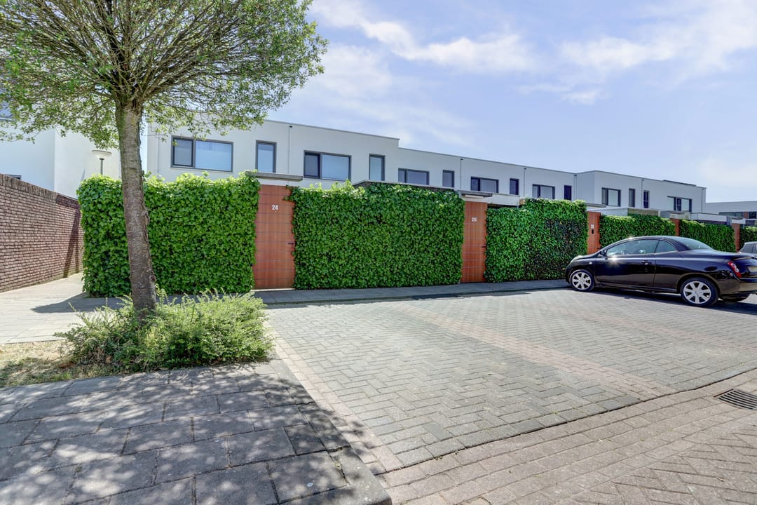 Foto 31 van Kamsalamander 22