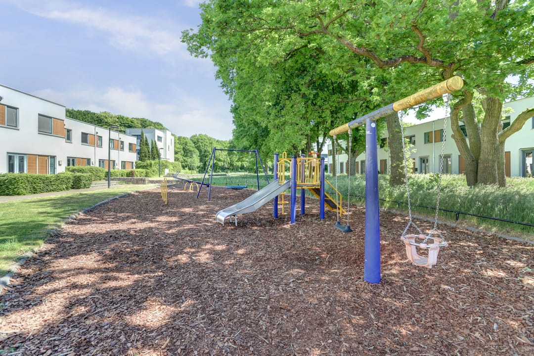 Foto 32 van Kamsalamander 22