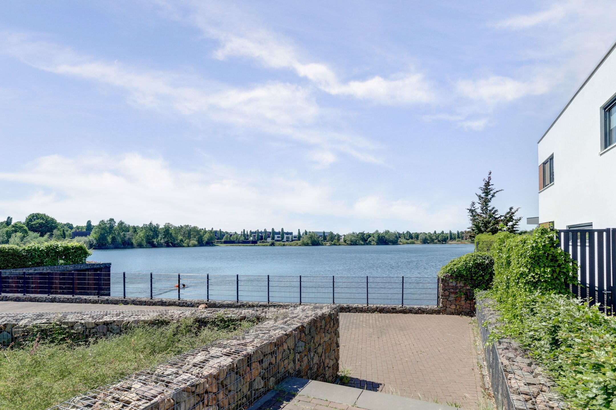 Foto 33 van Kamsalamander 22