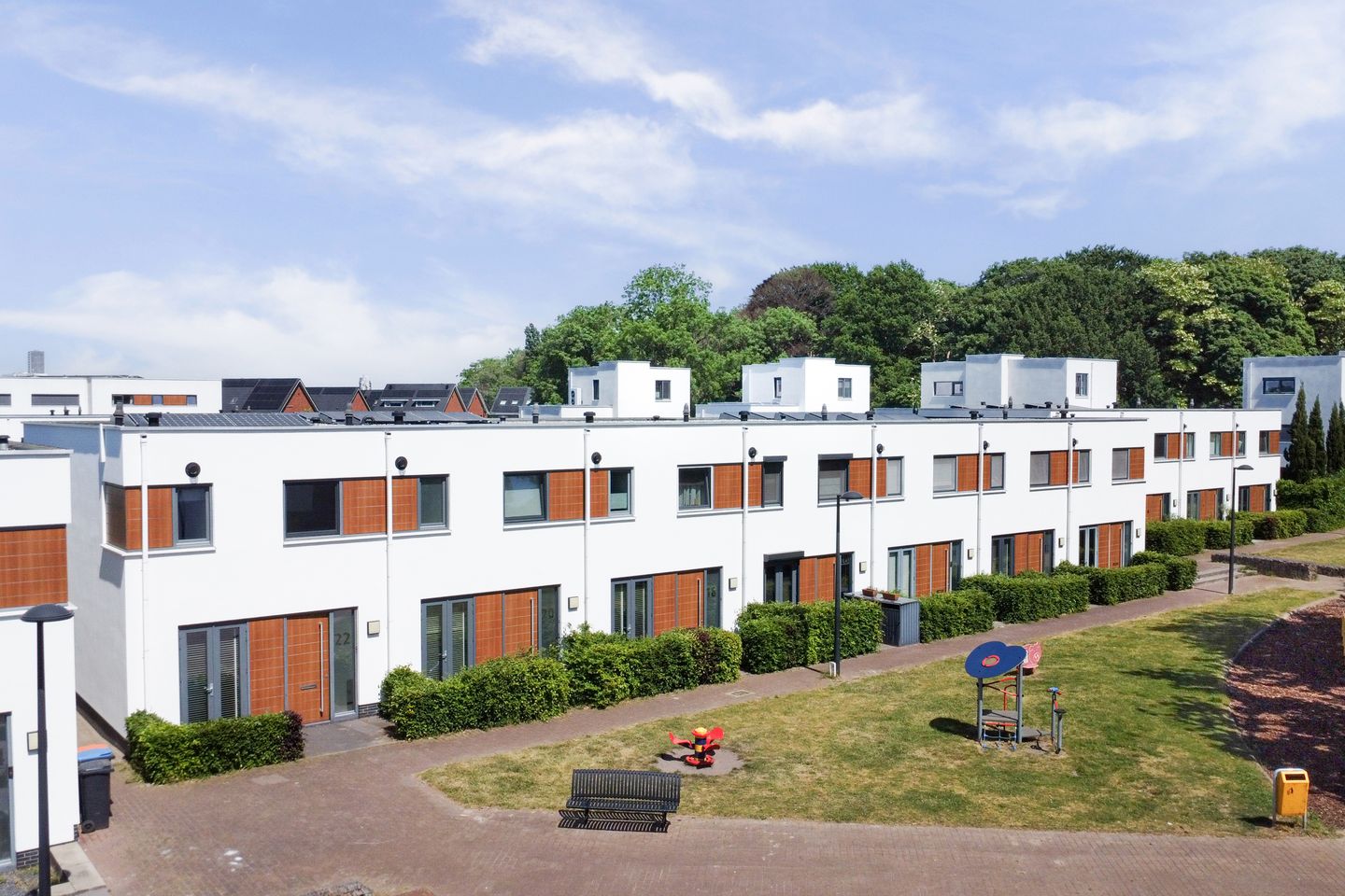 Foto 34 van Kamsalamander 22