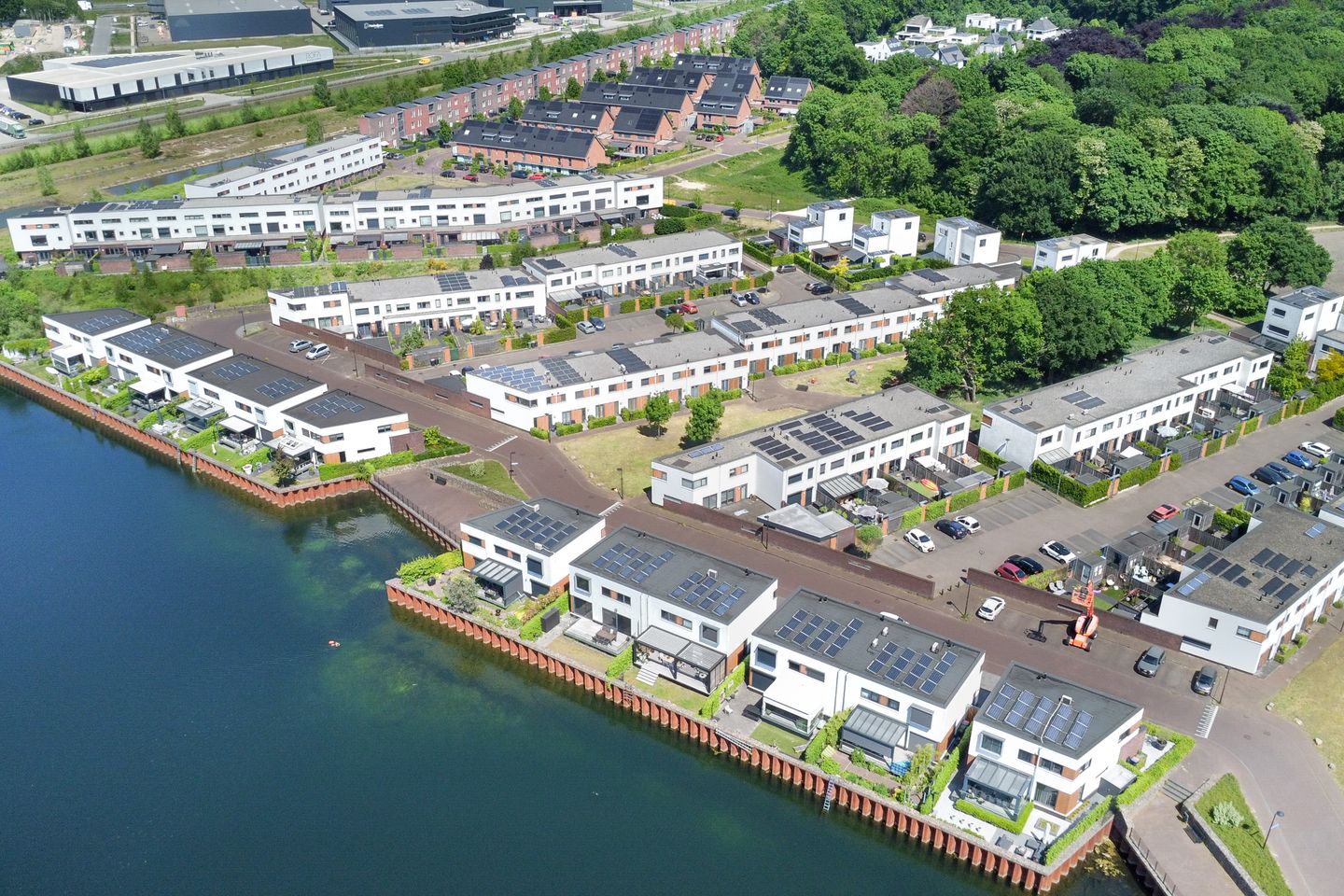 Foto 35 van Kamsalamander 22