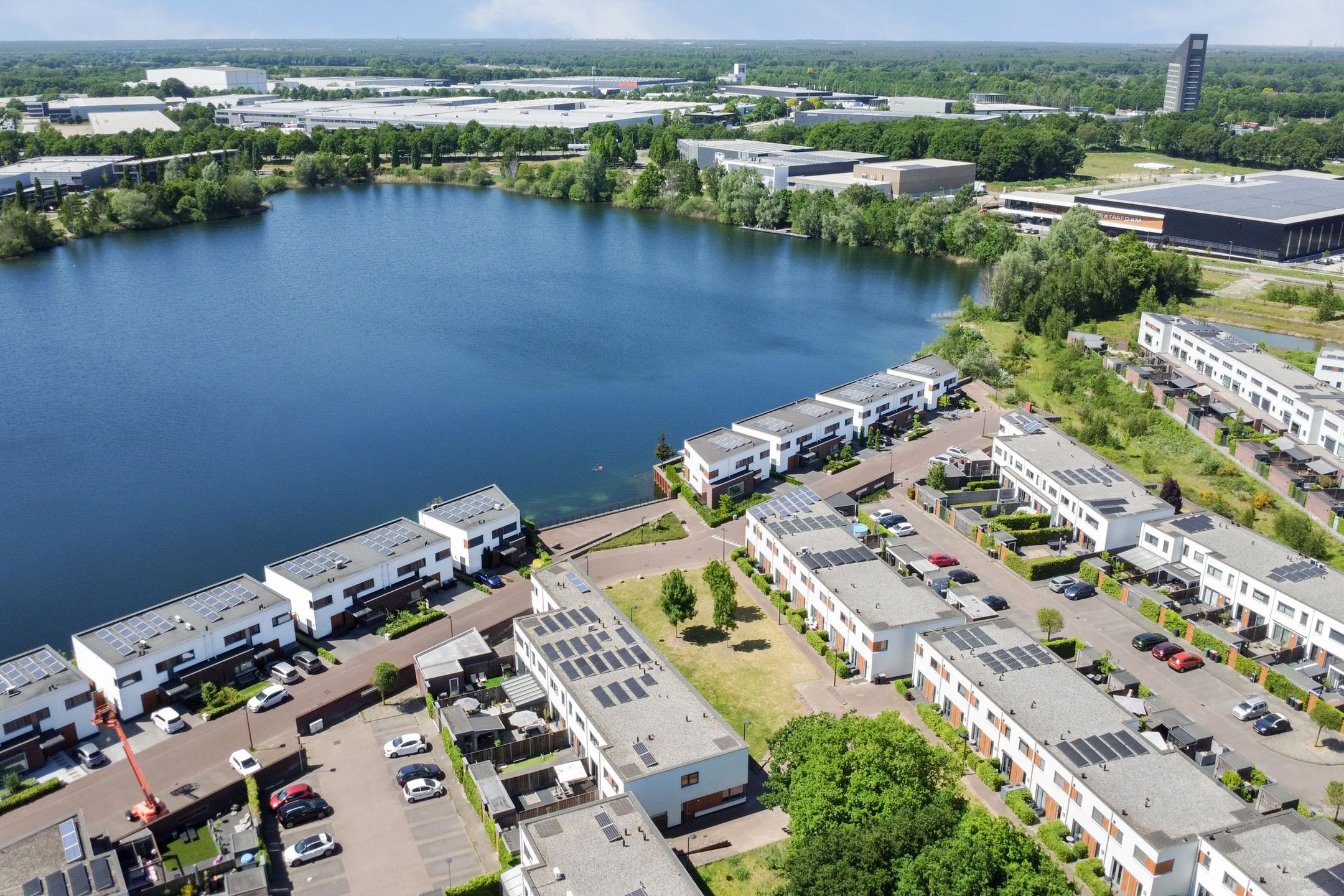 Foto 36 van Kamsalamander 22