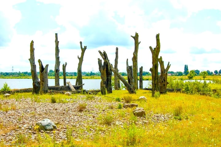 Photo 32 of in 't Broek 5-143