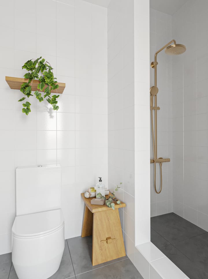 Foto 15 van Linnaeusstraat 178