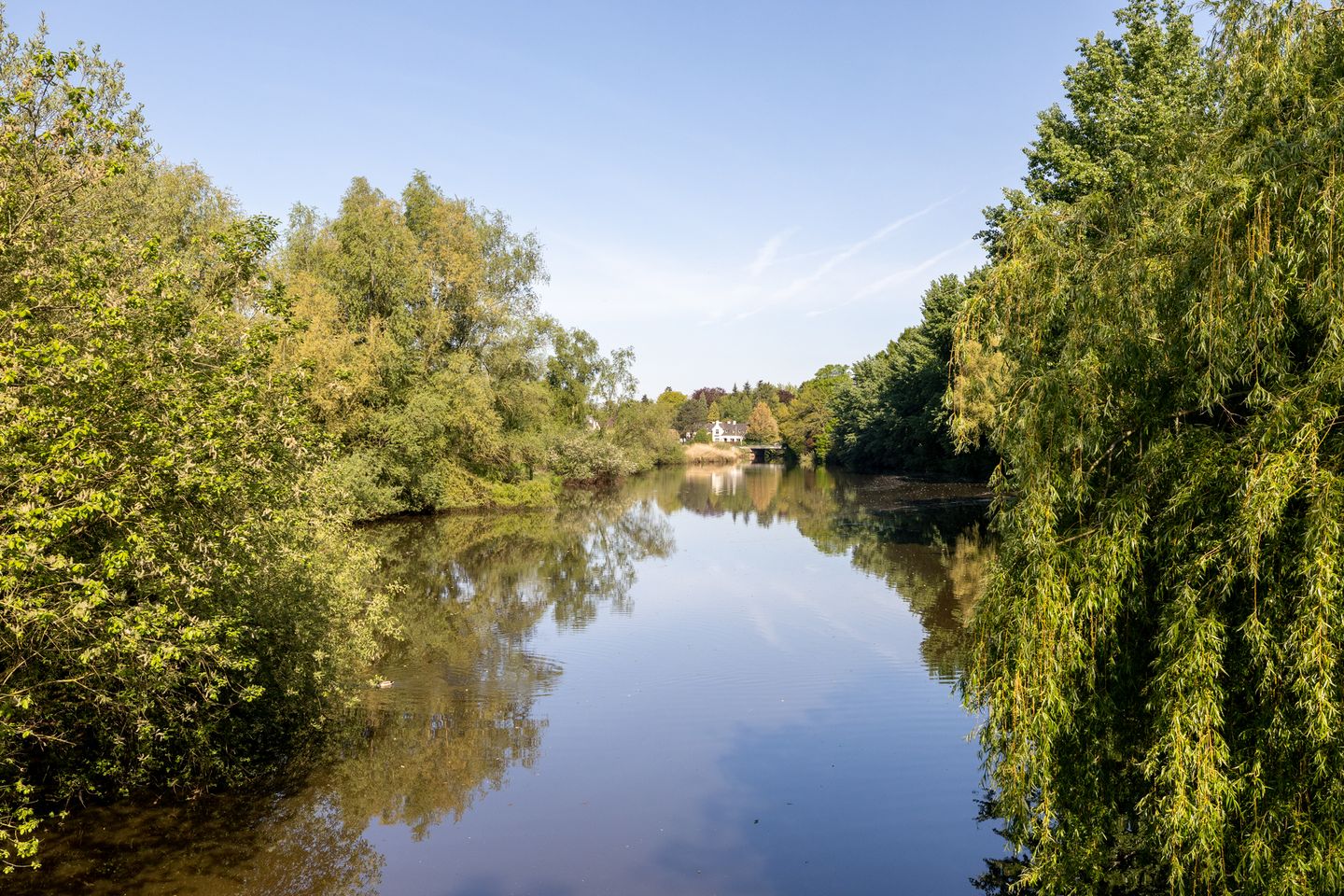 Foto 35 van Laurenspark 42