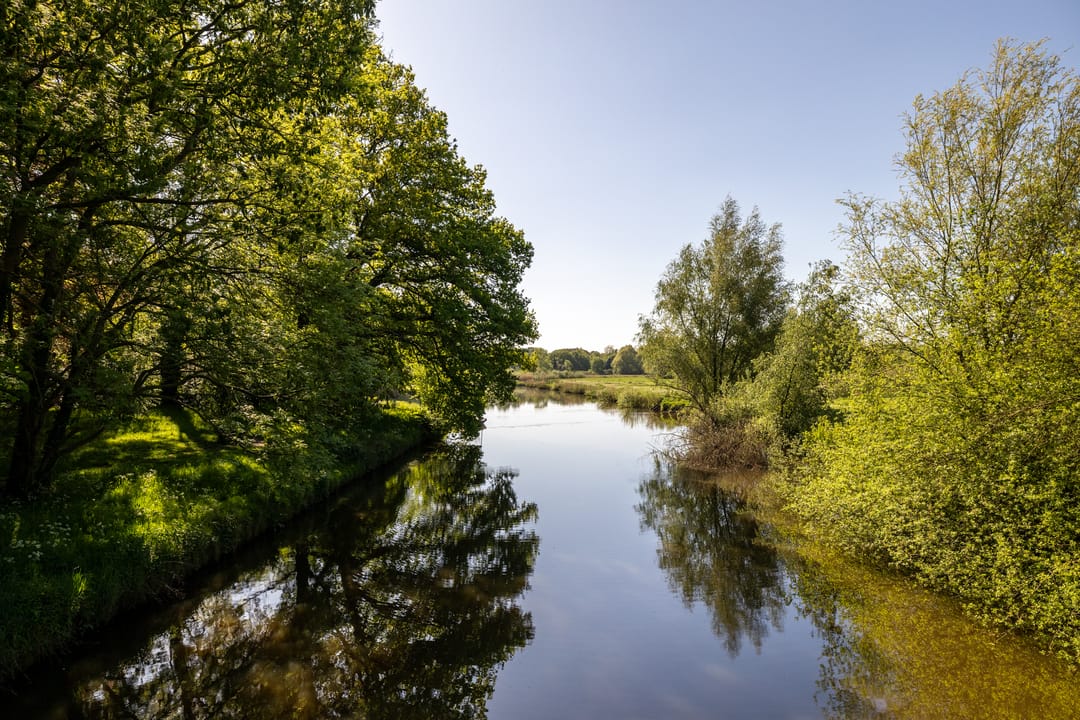 Foto 37 van Laurenspark 42