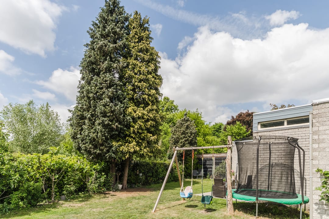 Photo 31 of Tamboerijnlaan 16