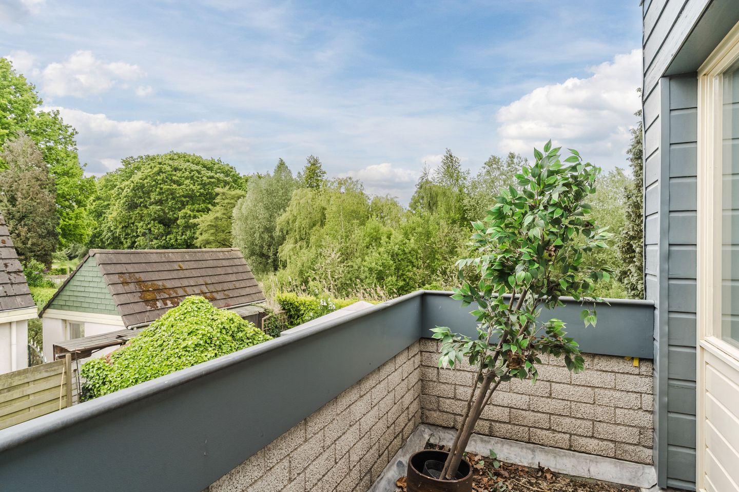 Photo 50 of Tamboerijnlaan 16