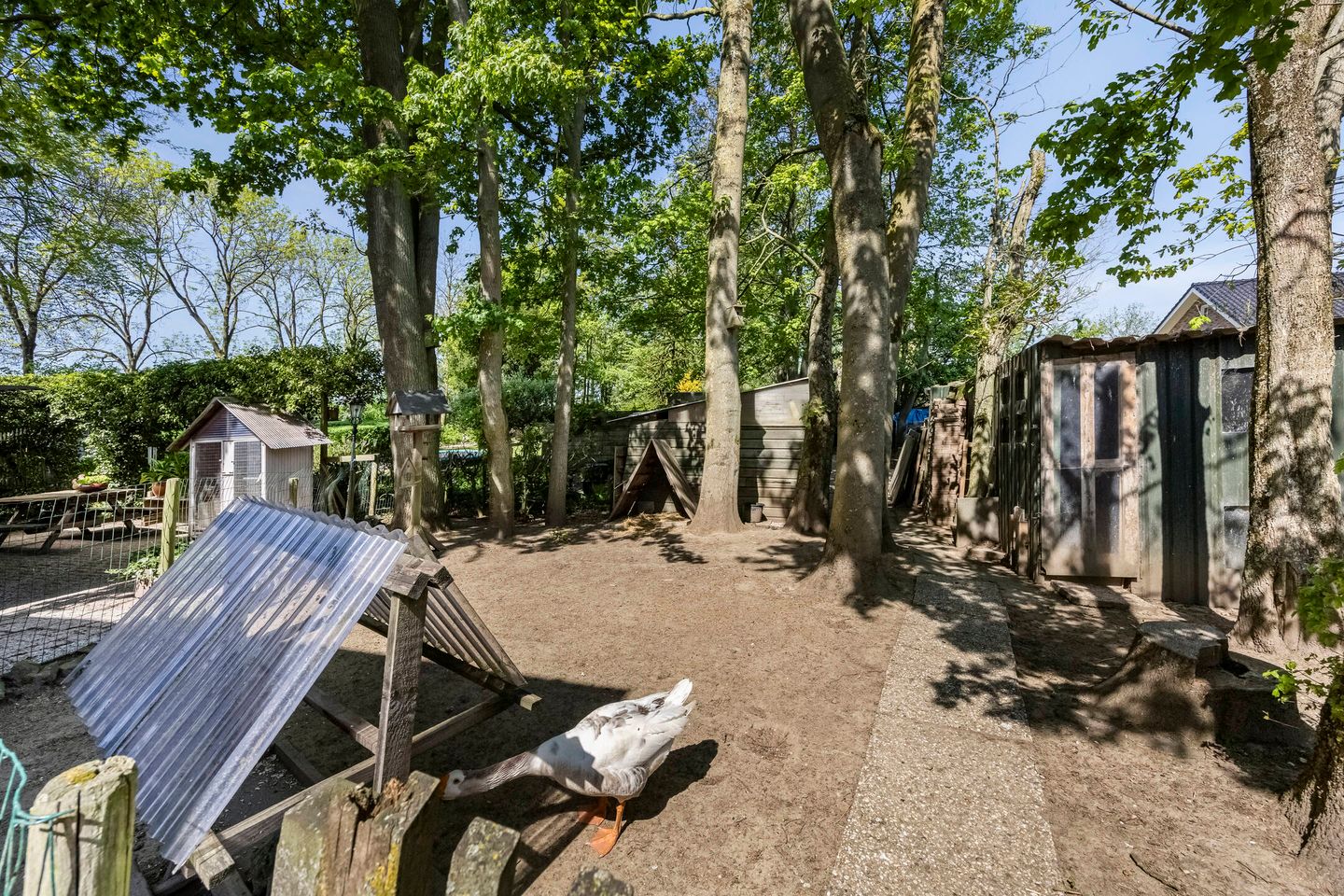 Photo 44 of Kapelstraat 34