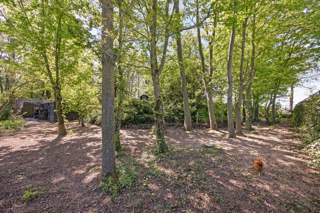 Photo 46 of Kapelstraat 34