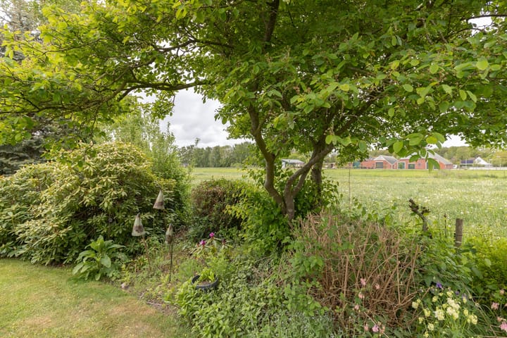 Foto 19 van Akkereindenweg 19