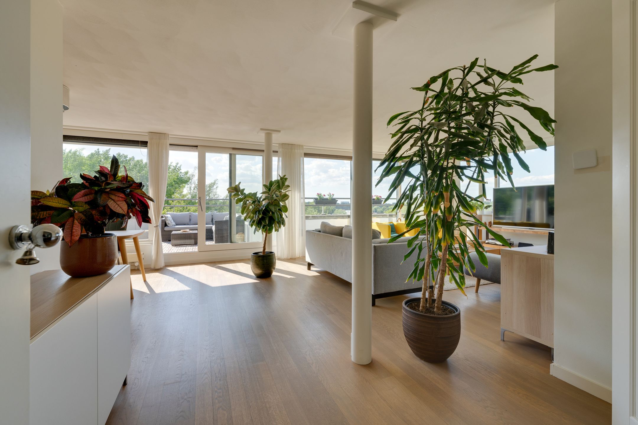 Photo 9 of Schokkerspad 47