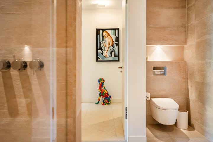 Foto 32 van Koninginneweg 19-A