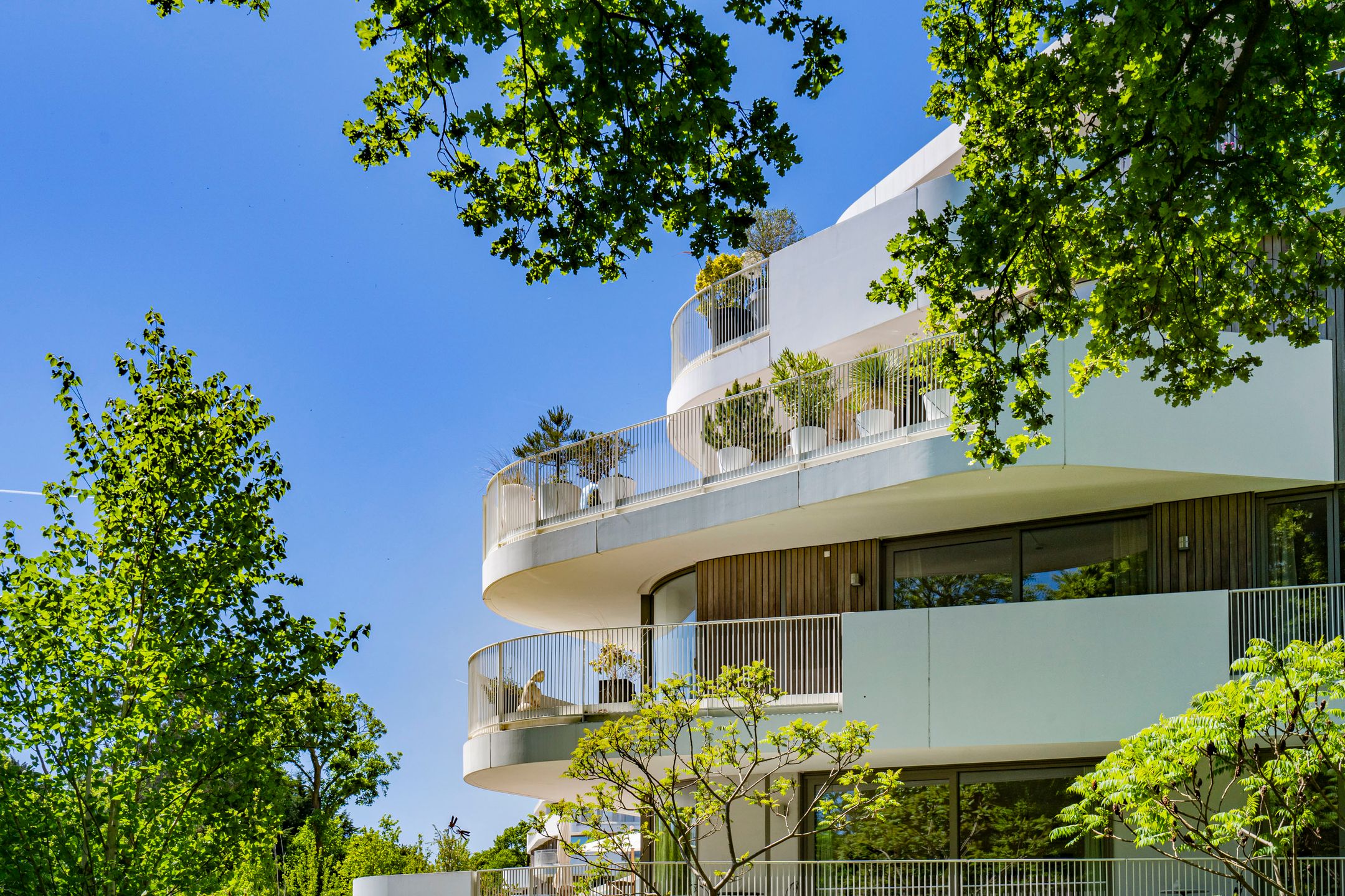 Foto 48 van Koninginneweg 19-A