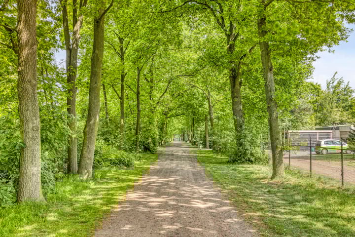 Foto 26 van Grove Den 4