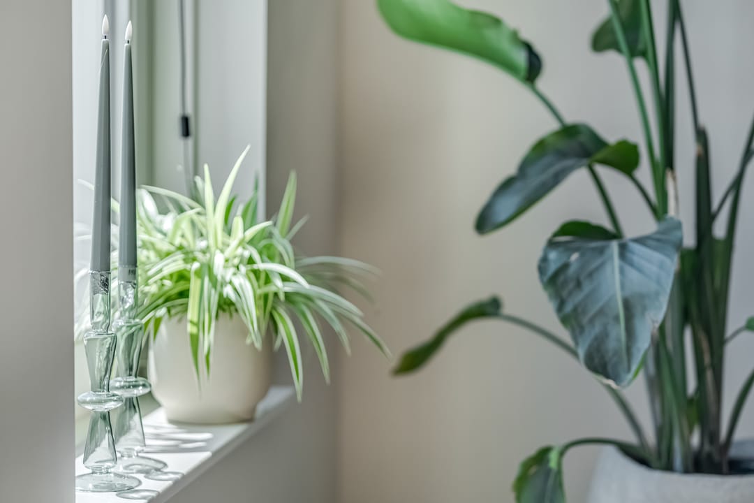 Foto 8 van Rijnvallei 14