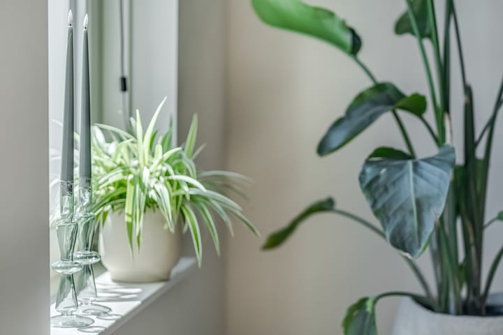 Foto 8 van Rijnvallei 14