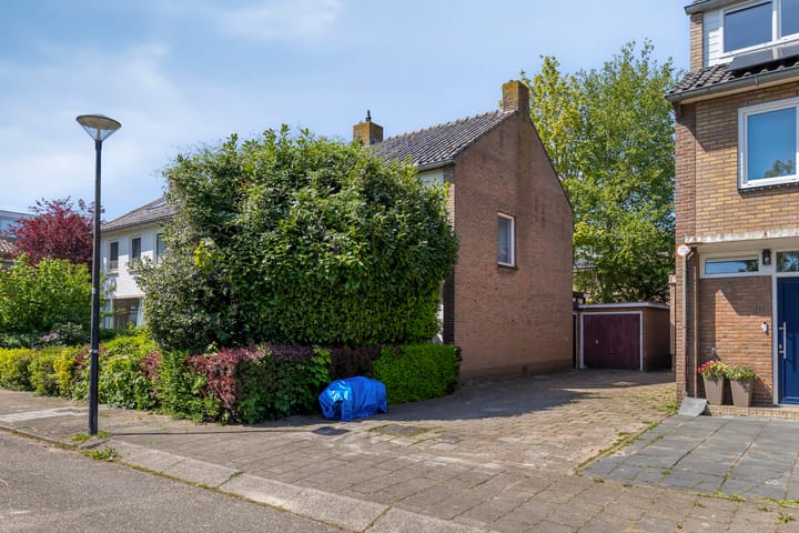 Foto 4 van Henrick Trajectinusstraat 11