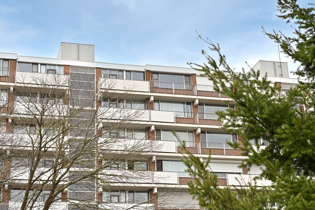 Foto 31 van Poolsterstraat 50